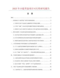 2025年小提琴盒項(xiàng)目可行性研究報(bào)告