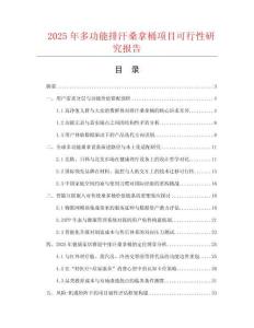 2025年多功能排汗桑拿桶項目可行性研究報告