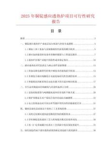 2025年銅錠感應透熱爐項目可行性研究報告
