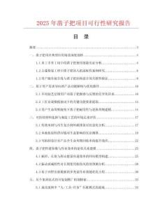2025年鑿子把項(xiàng)目可行性研究報(bào)告