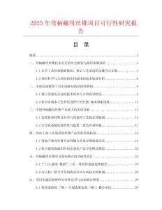 2025年彎柄螺母絲錐項目可行性研究報告