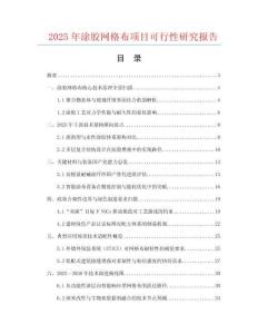 2025年涂膠網(wǎng)格布項目可行性研究報告