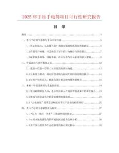 2025年手壓手電筒項目可行性研究報告