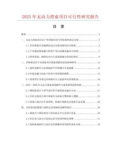 2025年無(wú)動(dòng)力滑索項(xiàng)目可行性研究報(bào)告