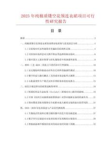 2025年純棉質鏤空花領連衣裙項目可行性研究報告