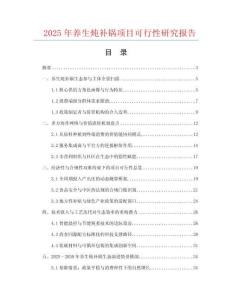 2025年养生炖补锅项目可行性研究报告