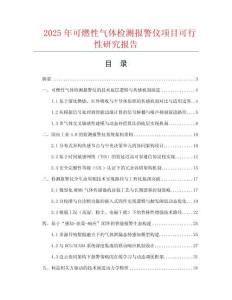 2025年可燃性氣體檢測報警儀項目可行性研究報告