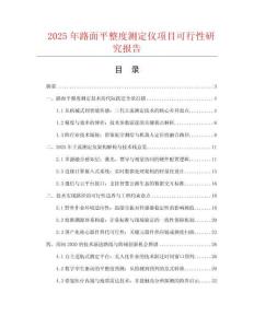 2025年路面平整度測定儀項目可行性研究報告