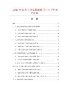 2025年亮光五金家具配件項目可行性研究報告