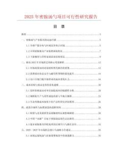 2025年密胺湯勺項目可行性研究報告