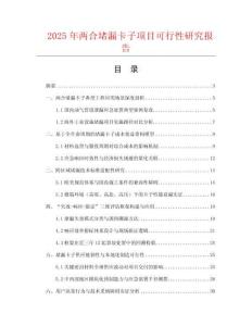 2025年兩合堵漏卡子項目可行性研究報告