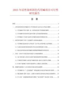 2025年活性染料固色代用堿項目可行性研究報告