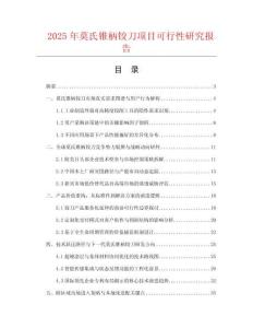 2025年莫氏錐柄鉸刀項(xiàng)目可行性研究報(bào)告