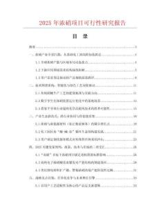 2025年濃硝項(xiàng)目可行性研究報(bào)告