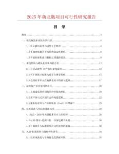 2025年葫龍瓶項目可行性研究報告