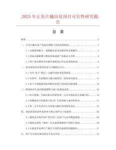 2025年正負(fù)片輸出儀項目可行性研究報告