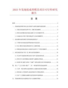 2025年發(fā)泡膠成型模具項(xiàng)目可行性研究報(bào)告