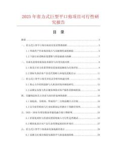 2025年省力式巨型平口剪項(xiàng)目可行性研究報(bào)告