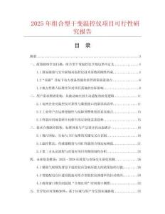 2025年組合型干變溫控儀項目可行性研究報告