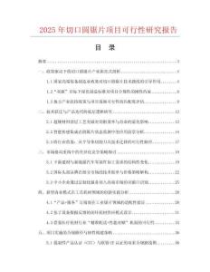 2025年切口圓鋸片項(xiàng)目可行性研究報(bào)告