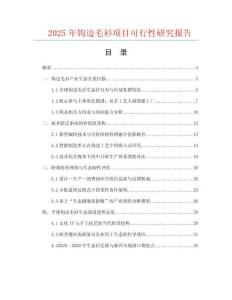 2025年鉤邊毛衫項目可行性研究報告