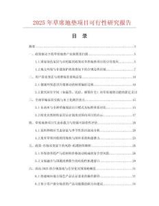 2025年草席地墊項目可行性研究報告