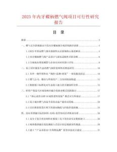 2025年內(nèi)牙蝶柄燃?xì)忾y項(xiàng)目可行性研究報(bào)告