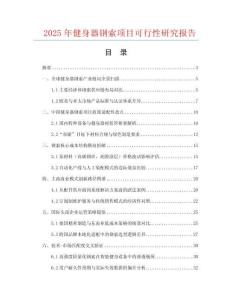 2025年健身器鋼索項目可行性研究報告