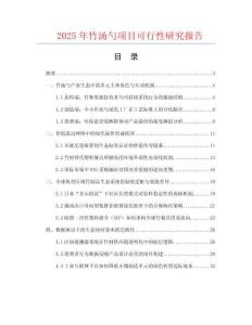 2025年竹湯勺項目可行性研究報告