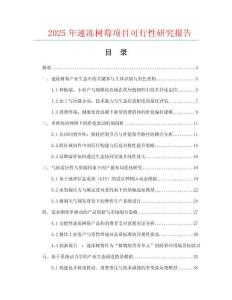 2025年速凍樹莓項目可行性研究報告