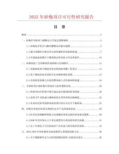 2025年砂炮項(xiàng)目可行性研究報(bào)告