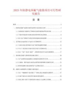 2025年防靜電屏蔽氣泡袋項目可行性研究報告