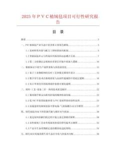 2025年ＰＶＣ植絨氈項目可行性研究報告