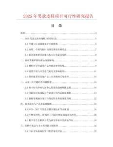 2025年男款皮鞋項目可行性研究報告