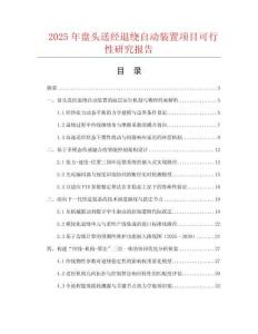 2025年盤頭送經退繞自動裝置項目可行性研究報告
