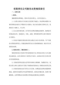 有限责任公司股东出资规范指引