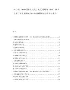 2025至2030中國模塊化存儲區(qū)域網絡（SAN）解決方案行業(yè)發(fā)展研究與產業(yè)戰(zhàn)略規(guī)劃分析評估報告