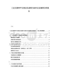 工業(yè)互聯(lián)網(wǎng)平臺商業(yè)化進程與標(biāo)桿企業(yè)案例分析報告