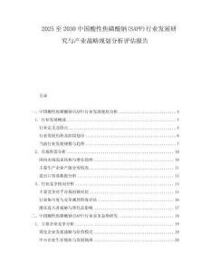 2025至2030中國(guó)酸性焦磷酸鈉(SAPP)行業(yè)發(fā)展研究與產(chǎn)業(yè)戰(zhàn)略規(guī)劃分析評(píng)估報(bào)告