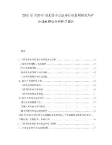 2025至2030中国无管小分割器行业发展研究与产业战略规划分析评估报告