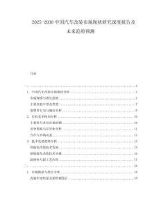 2025-2030中國汽車改裝市場現狀研究深度報告及未來趨勢預測