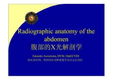 腹部X光解剖學Radiographic anatomy of the abdomen