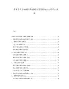 中國漂洗添加劑細(xì)分領(lǐng)域應(yīng)用現(xiàn)狀與未來增長點(diǎn)預(yù)測