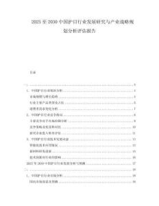 2025至2030中國護目行業發展研究與產業戰略規劃分析評估報告