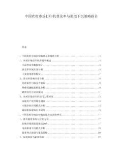 中國農村市場打印機普及率與渠道下沉策略報告