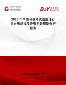 2025年中國(guó)可調(diào)角式溫度計(jì)行業(yè)市場(chǎng)規(guī)模及投資前景預(yù)測(cè)分析報(bào)告