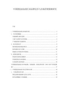 中國漂洗添加劑行業品牌競爭與市場營銷策略研究