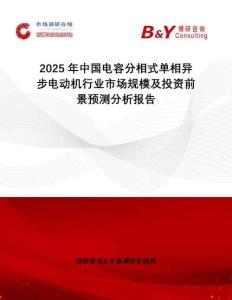 2025年中國電容分相式單相異步電動機行業市場規模及投資前景預測分析報告
