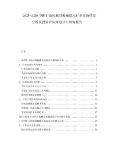2025-2030中國(guó)礦山機(jī)械刮板輸送機(jī)行業(yè)市場(chǎng)供需分析及投資評(píng)估規(guī)劃分析研究報(bào)告