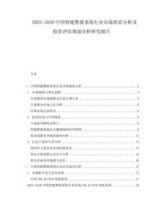 2025-2030中國(guó)智能警報(bào)系統(tǒng)行業(yè)市場(chǎng)供需分析及投資評(píng)估規(guī)劃分析研究報(bào)告